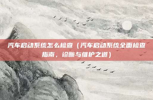 汽车启动系统怎么检查(汽车启动系统全面检查指南,诊断与维护之道)