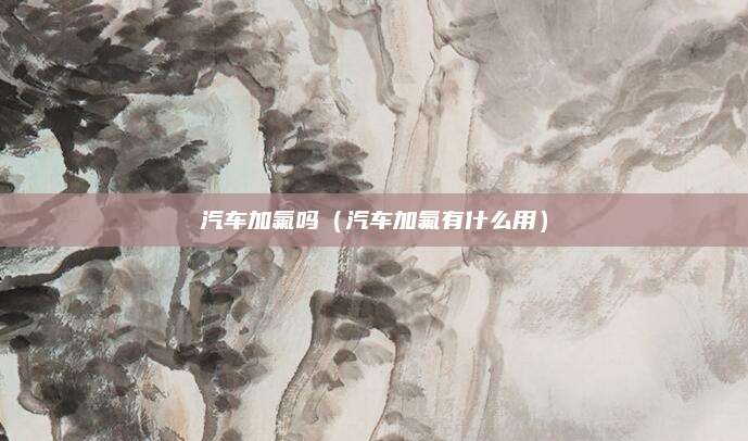汽车加氟吗(汽车加氟有什么用)