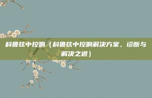 科鲁兹中控响(科鲁兹中控响解决方案,诊断与解决之道)