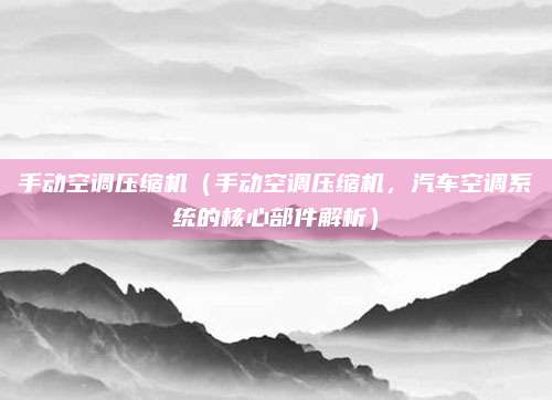 手动空调压缩机(手动空调压缩机,汽车空调系统的核心部件解析)