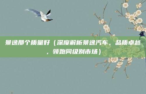景逸那个质量好(深度解析景逸汽车,品质卓越,领跑同级别市场)