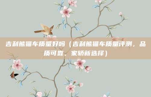 吉利熊猫车质量好吗(吉利熊猫车质量评测,品质可靠,家轿新选择)