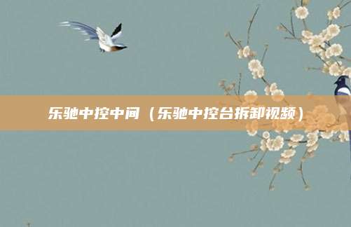 乐驰中控中间(乐驰中控台拆卸视频)