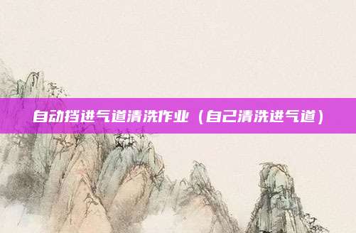 自动挡进气道清洗作业(自己清洗进气道)