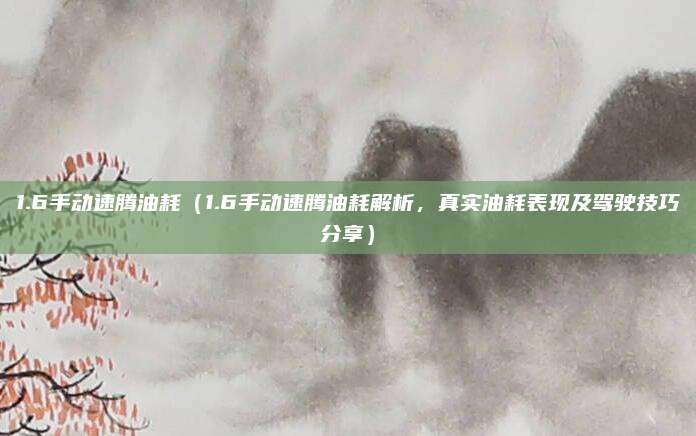 1.6手动速腾油耗(1.6手动速腾油耗解析,真实油耗表现及驾驶技巧分享)