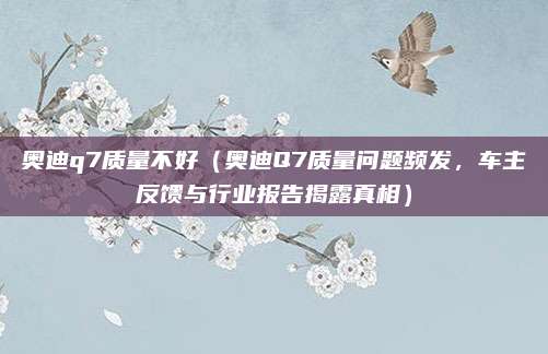 奥迪q7质量不好(奥迪Q7质量问题频发,车主反馈与行业报告揭露真相)