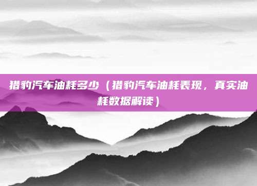 猎豹汽车油耗多少(猎豹汽车油耗表现,真实油耗数据解读)