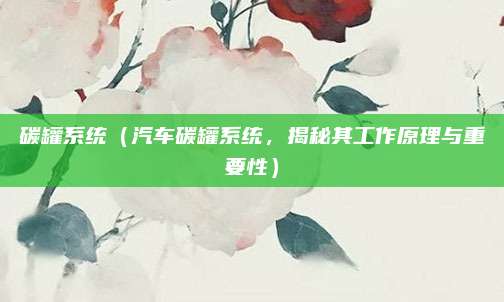 碳罐系统(汽车碳罐系统,揭秘其工作原理与重要性)