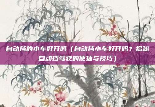 自动挡的小车好开吗(自动挡小车好开吗?揭秘自动挡驾驶的便捷与技巧)