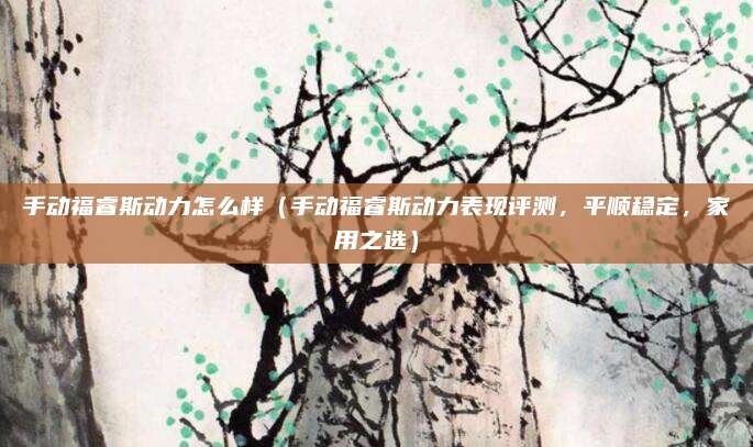 手动福睿斯动力怎么样(手动福睿斯动力表现评测,平顺稳定,家用之选)