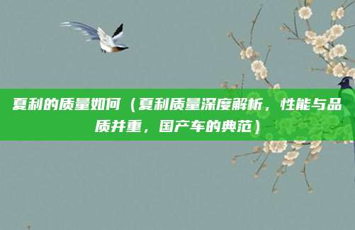 夏利的质量如何(夏利质量深度解析,性能与品质并重,国产车的典范)