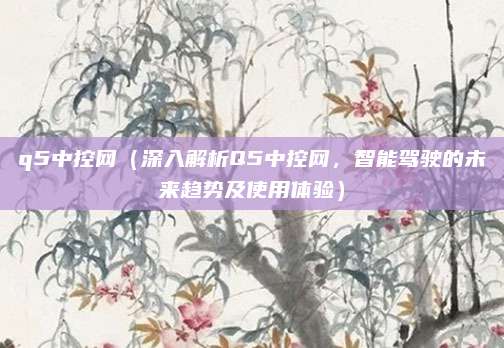 q5中控网(深入解析Q5中控网,智能驾驶的未来趋势及使用体验)