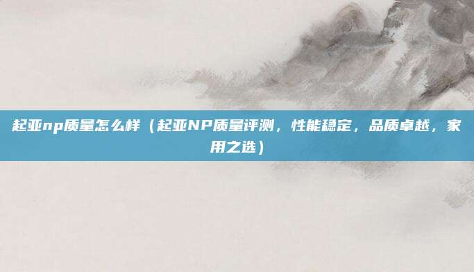 起亚np质量怎么样(起亚NP质量评测,性能稳定,品质卓越,家用之选)