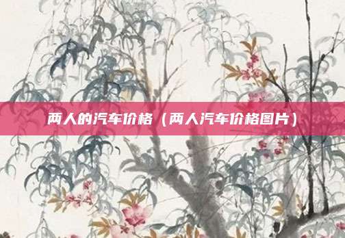 两人的汽车价格(两人汽车价格图片)