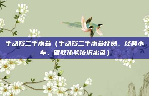手动挡二手雨燕(手动挡二手雨燕评测,经典小车,驾驭体验依旧出色)