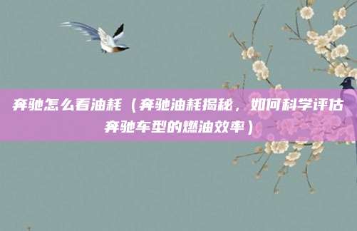 奔驰怎么看油耗(奔驰油耗揭秘,如何科学评估奔驰车型的燃油效率)