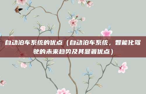 自动泊车系统的优点(自动泊车系统,智能化驾驶的未来趋势及其显著优点)