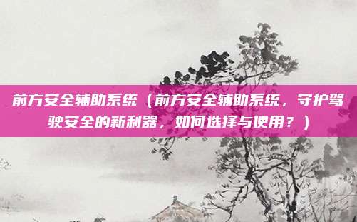 前方安全辅助系统(前方安全辅助系统,守护驾驶安全的新利器,如何选择与使用?)