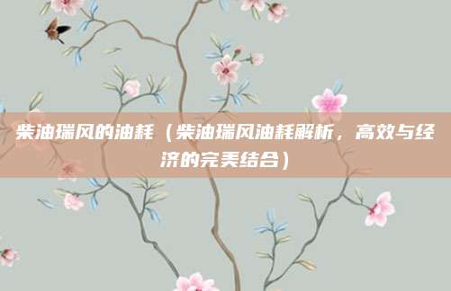 柴油瑞风的油耗(柴油瑞风油耗解析,高效与经济的完美结合)