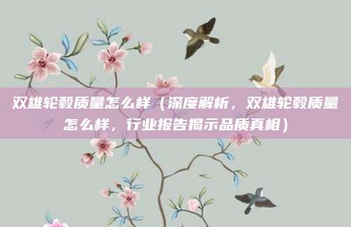 双雄轮毂质量怎么样(深度解析,双雄轮毂质量怎么样,行业报告揭示品质真相)