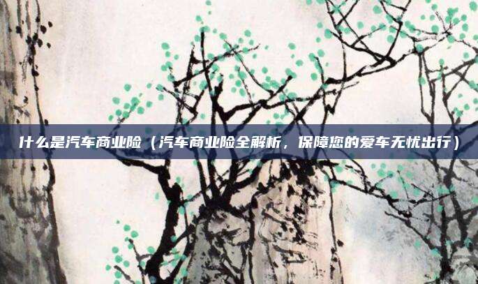 什么是汽车商业险(汽车商业险全解析,保障您的爱车无忧出行)