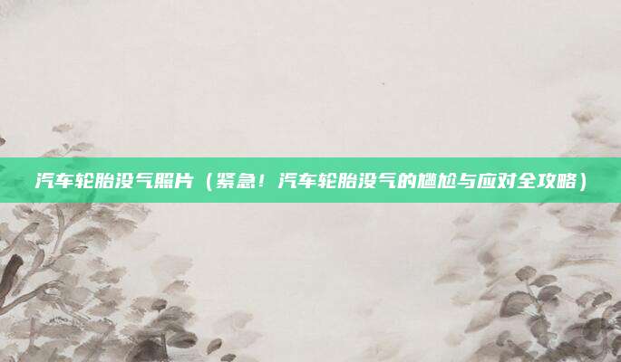 汽车轮胎没气照片（紧急！汽车轮胎没气的尴尬与应对全攻略）