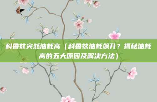 科鲁兹突然油耗高（科鲁兹油耗飙升？揭秘油耗高的五大原因及解决方法）