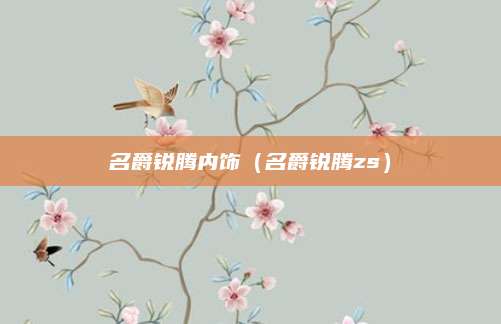 名爵锐腾内饰(名爵锐腾zs)