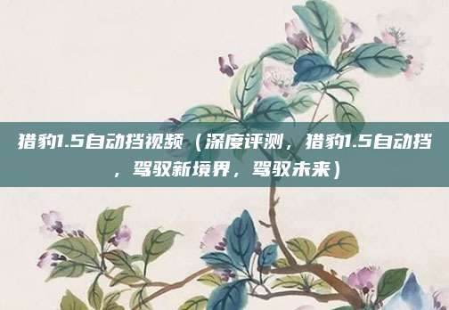 猎豹1.5自动挡视频(深度评测,猎豹1.5自动挡,驾驭新境界,驾驭未来)
