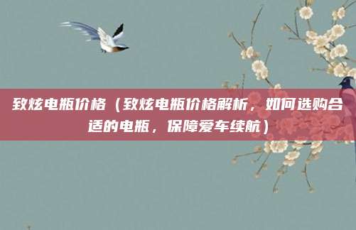 致炫电瓶价格(致炫电瓶价格解析,如何选购合适的电瓶,保障爱车续航)
