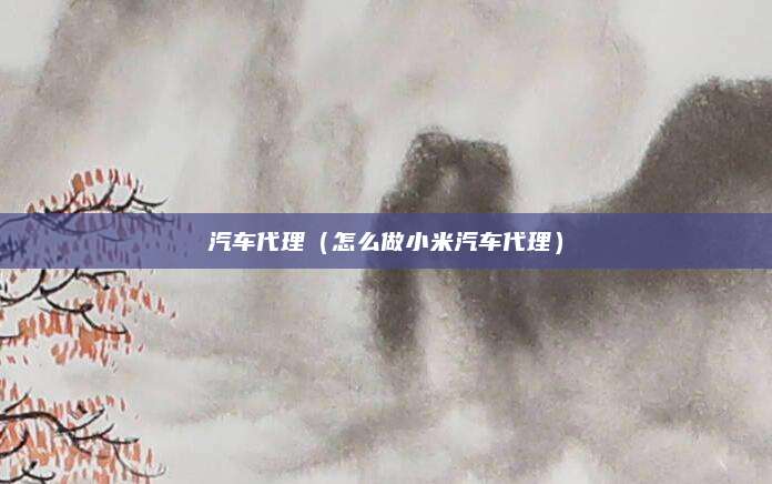 汽车代理(怎么做小米汽车代理)