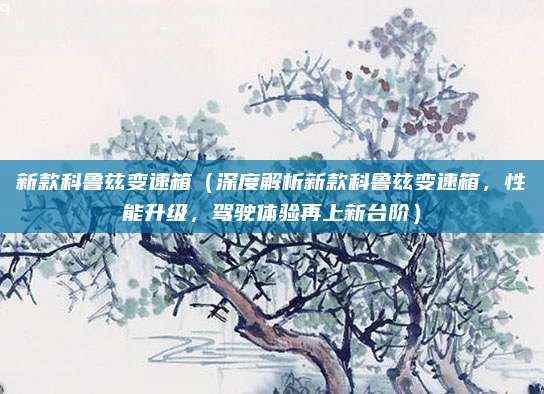 新款科鲁兹变速箱(深度解析新款科鲁兹变速箱,性能升级,驾驶体验再上新台阶)