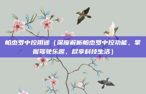 帕杰罗中控用途(深度解析帕杰罗中控功能,掌握驾驶乐趣,尽享科技生活)