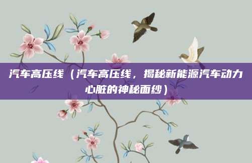 汽车高压线(汽车高压线,揭秘新能源汽车动力心脏的神秘面纱)