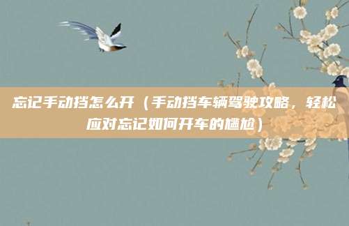 忘记手动挡怎么开（手动挡车辆驾驶攻略，轻松应对忘记如何开车的尴尬）