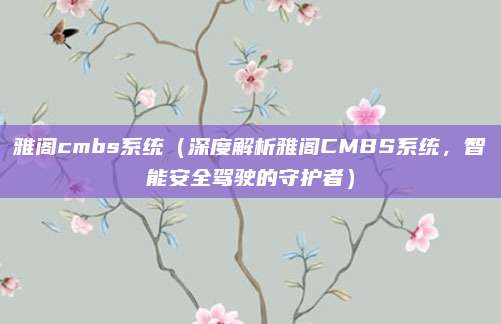 雅阁cmbs系统(深度解析雅阁CMBS系统,智能安全驾驶的守护者)