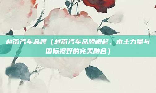 越南汽车品牌(越南汽车品牌崛起,本土力量与国际视野的完美融合)