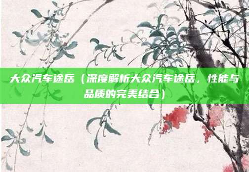 大众汽车途岳(深度解析大众汽车途岳,性能与品质的完美结合)
