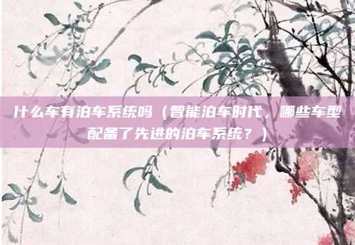 什么车有泊车系统吗(智能泊车时代,哪些车型配备了先进的泊车系统?)