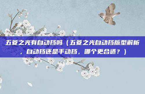 五菱之光有自动挡吗(五菱之光自动挡版型解析,自动挡还是手动挡,哪个更合适?)