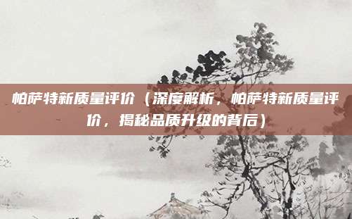 帕萨特新质量评价(深度解析,帕萨特新质量评价,揭秘品质升级的背后)