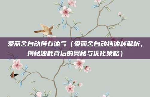 爱丽舍自动挡有油气(爱丽舍自动挡油耗解析,揭秘油耗背后的奥秘与优化策略)
