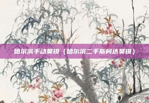 哈尔滨手动昊锐(哈尔滨二手斯柯达昊锐)