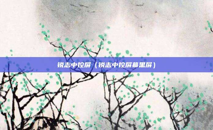 锐志中控屏(锐志中控屏幕黑屏)