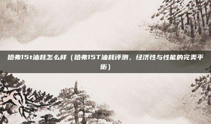 哈弗15t油耗怎么样（哈弗15T油耗评测，经济性与性能的完美平衡）
