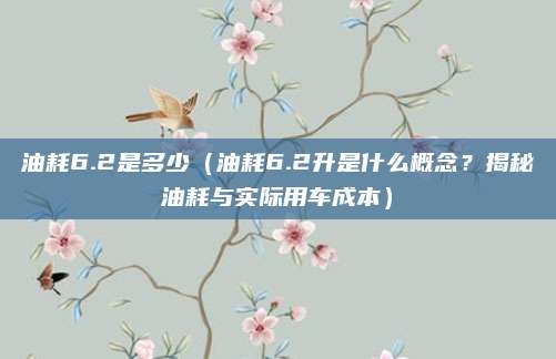 油耗6.2是多少（油耗6.2升是什么概念？揭秘油耗与实际用车成本）