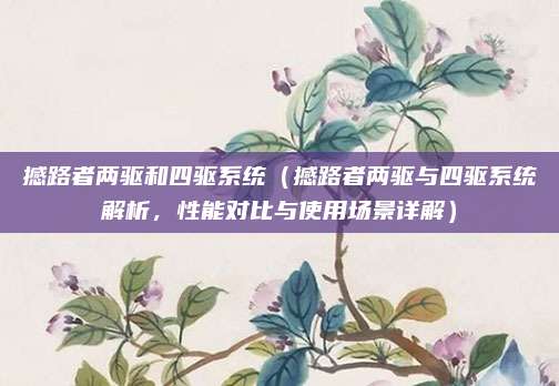 撼路者两驱和四驱系统（撼路者两驱与四驱系统解析，性能对比与使用场景详解）