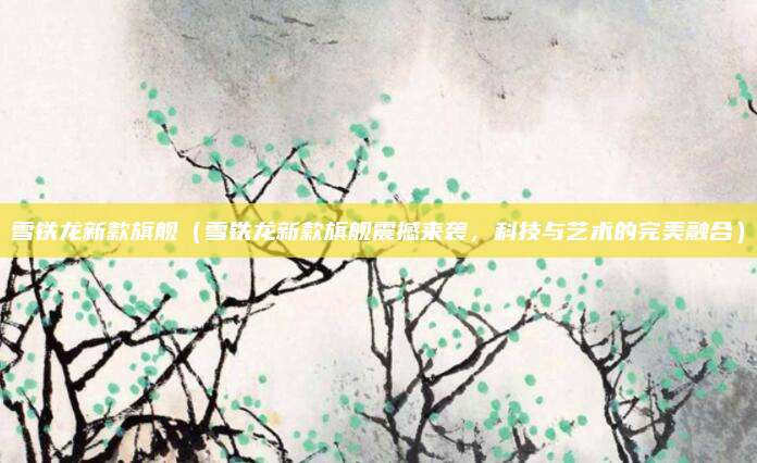 雪铁龙新款旗舰（雪铁龙新款旗舰震撼来袭，科技与艺术的完美融合）