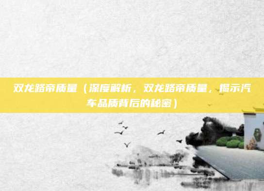 双龙路帝质量（深度解析，双龙路帝质量，揭示汽车品质背后的秘密）