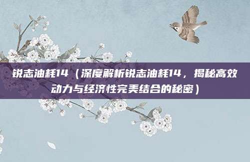 锐志油耗14（深度解析锐志油耗14，揭秘高效动力与经济性完美结合的秘密）